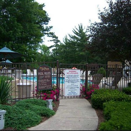 بحيرة جورج Tall Pines Motel المظهر الخارجي الصورة