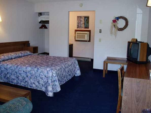 بحيرة جورج Tall Pines Motel الغرفة الصورة