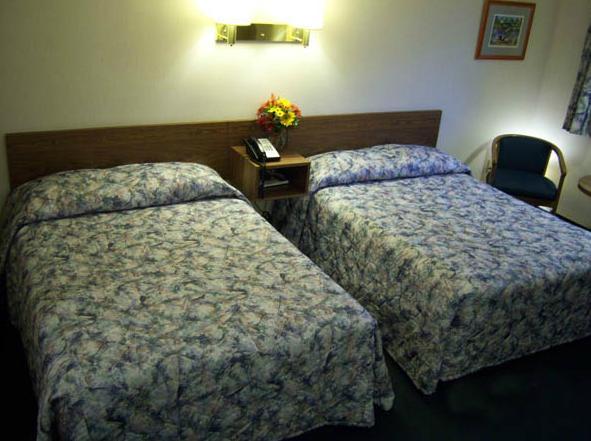 بحيرة جورج Tall Pines Motel الغرفة الصورة