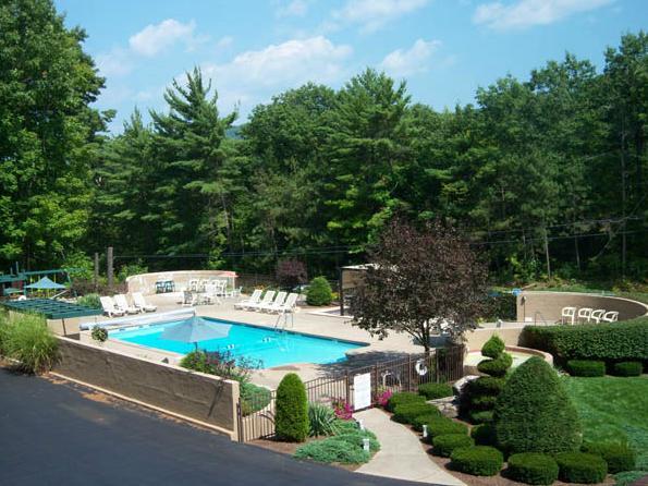 بحيرة جورج Tall Pines Motel المظهر الخارجي الصورة