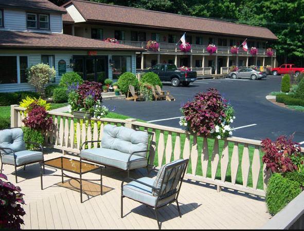 بحيرة جورج Tall Pines Motel المظهر الخارجي الصورة