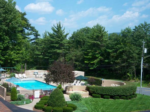 بحيرة جورج Tall Pines Motel المظهر الخارجي الصورة