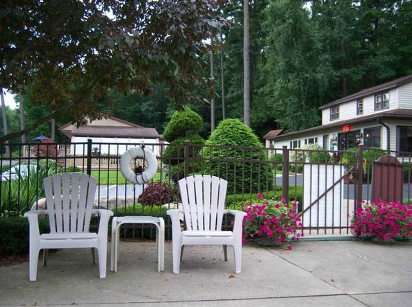 بحيرة جورج Tall Pines Motel المظهر الخارجي الصورة