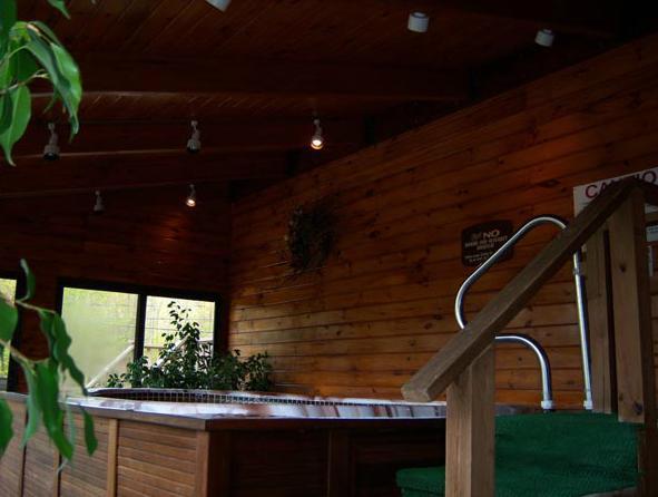 بحيرة جورج Tall Pines Motel المظهر الخارجي الصورة