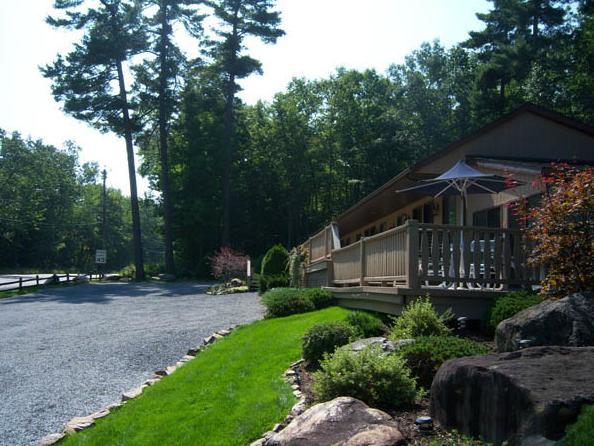 بحيرة جورج Tall Pines Motel المظهر الخارجي الصورة