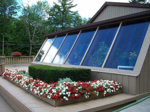 بحيرة جورج Tall Pines Motel المظهر الخارجي الصورة