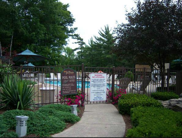 بحيرة جورج Tall Pines Motel المظهر الخارجي الصورة
