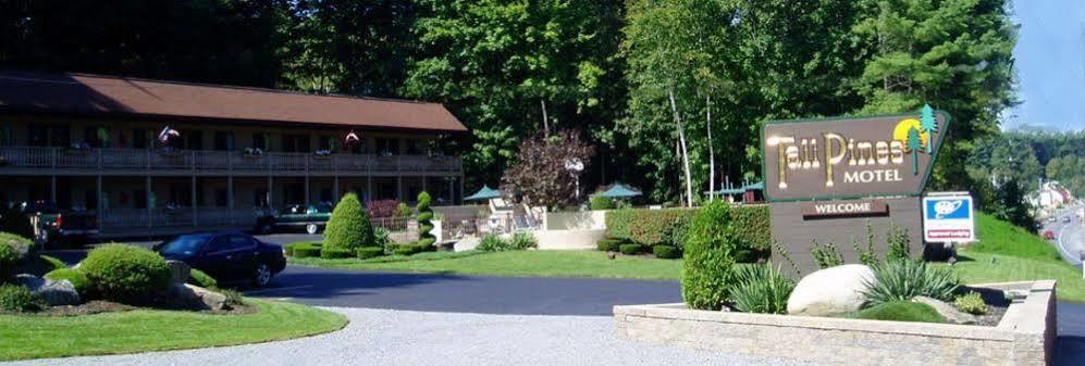 بحيرة جورج Tall Pines Motel المظهر الخارجي الصورة